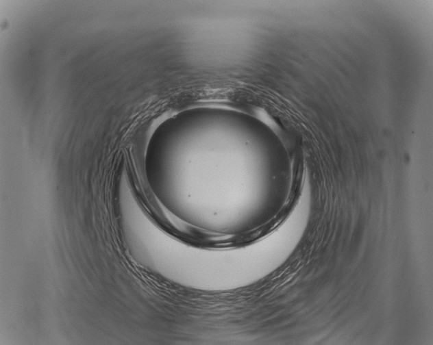 X0000067511441200604101244