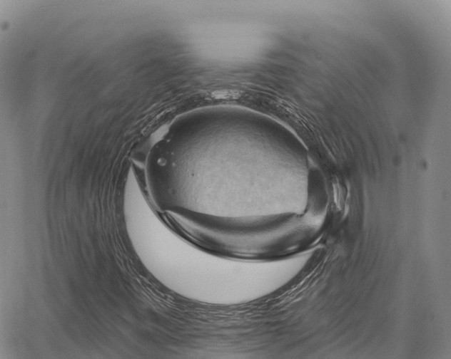 X0000067511443200604101244