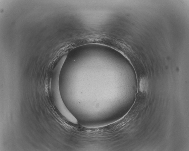 X0000067511444200604101244