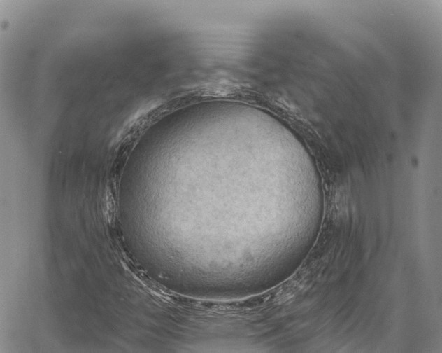 X0000067511446200604101244