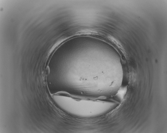 X0000067511465200604101243