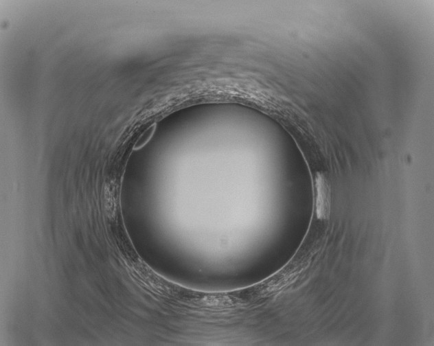 X0000067511491200604101242