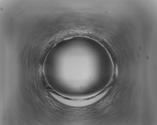 X0000067511492200604101242