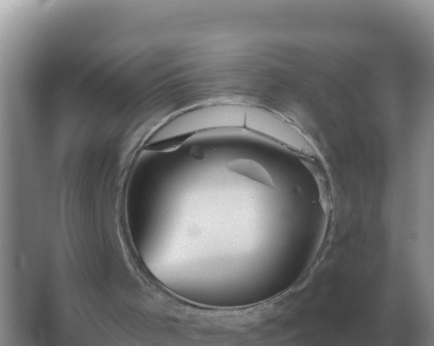 X0000067510001200604150145