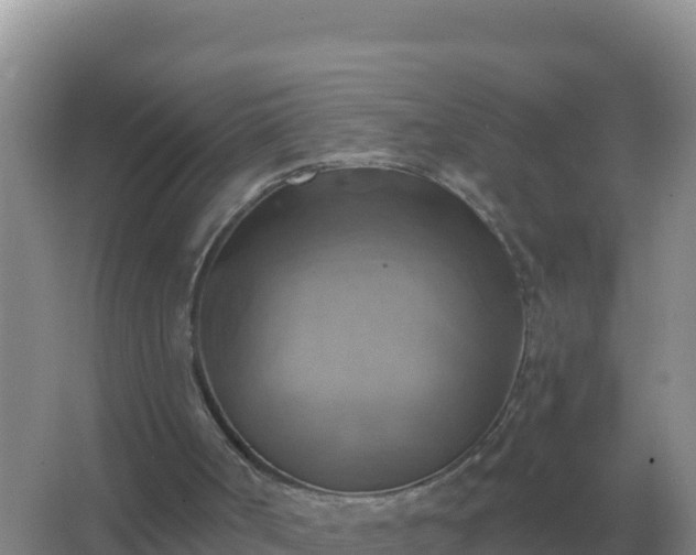 X0000067510002200604150145