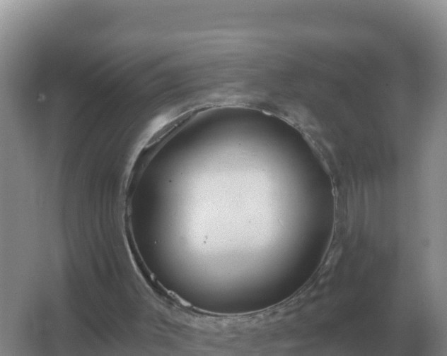 X0000067510003200604150145