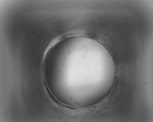 X0000067510004200604150145