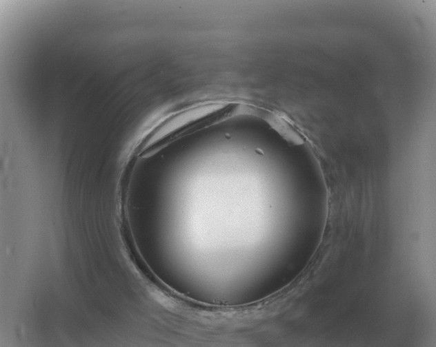 X0000067510005200604150145