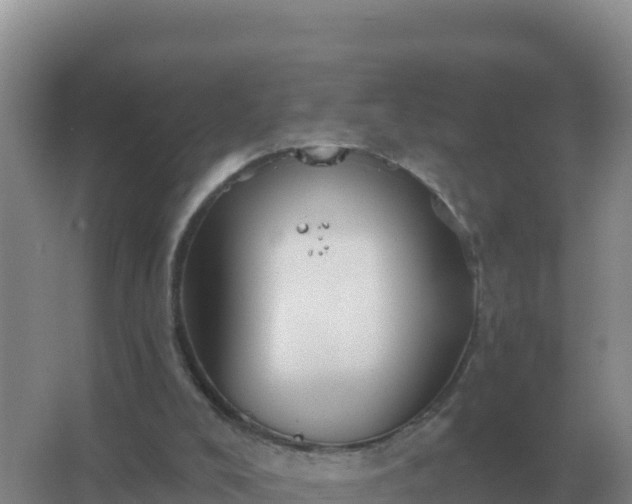 X0000067510008200604150145