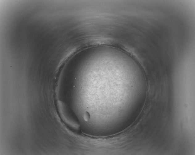 X0000067510010200604150145