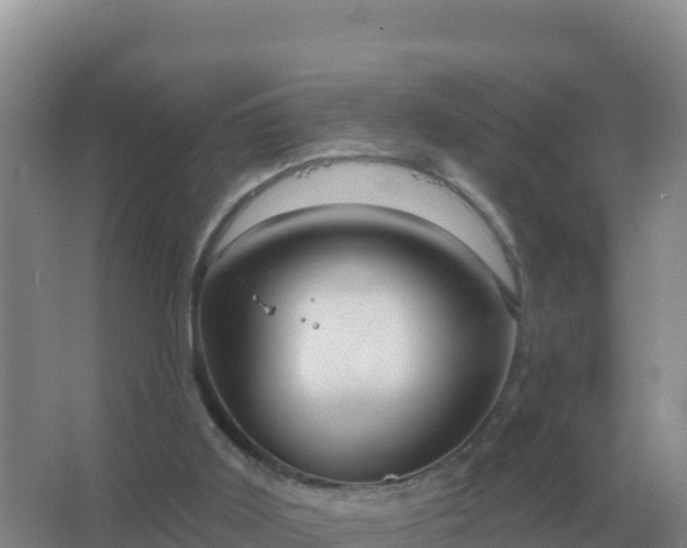 X0000067510011200604150145