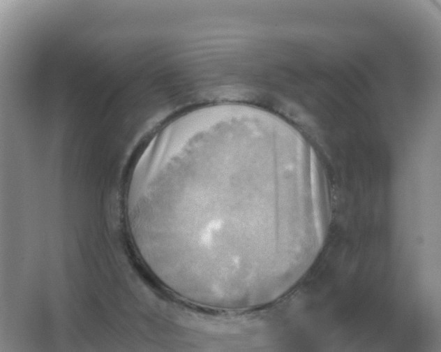 X0000067510012200604150145