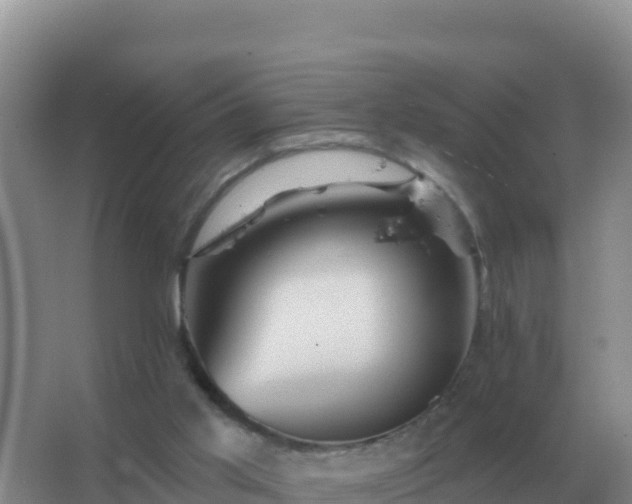 X0000067510013200604150145