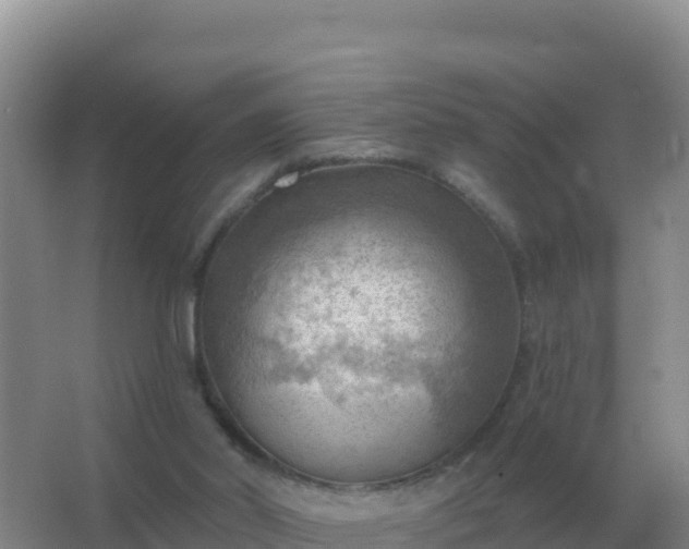 X0000067510014200604150145