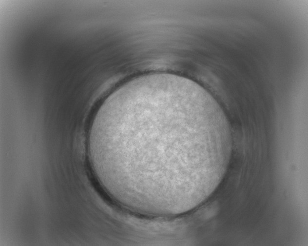 X0000067510016200604150145