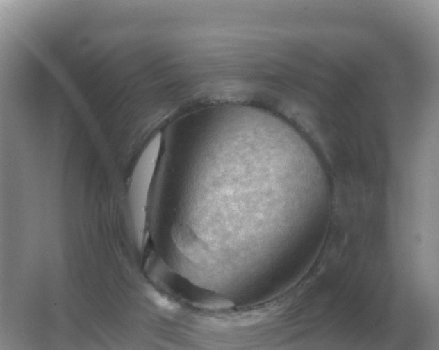 X0000067510017200604150145