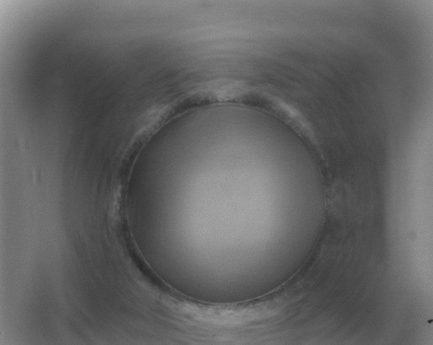 X0000067510018200604150145