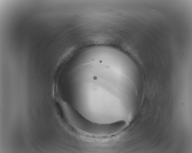 X0000067510019200604150145