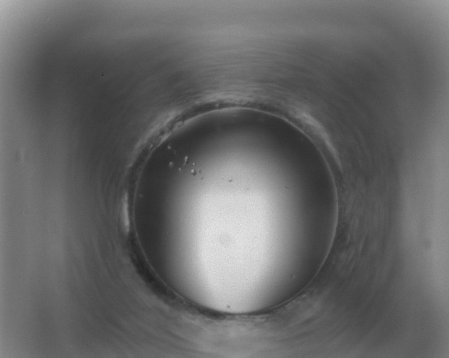 X0000067510020200604150145