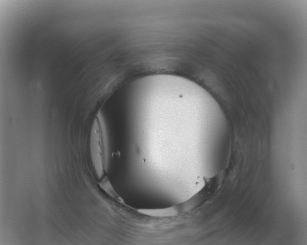 X0000067510021200604150145