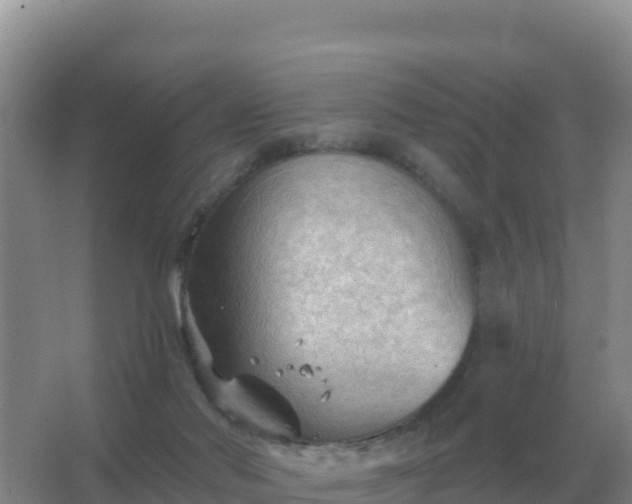 X0000067510022200604150145