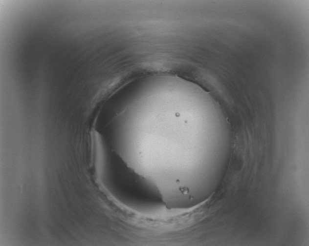 X0000067510023200604150145