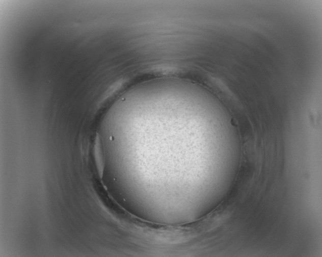 X0000067510024200604150145