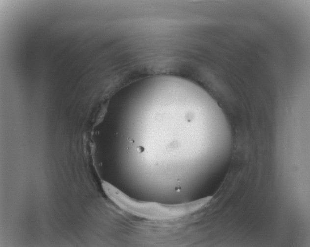 X0000067510025200604150145