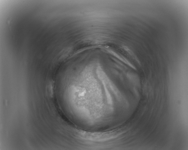 X0000067510026200604150145