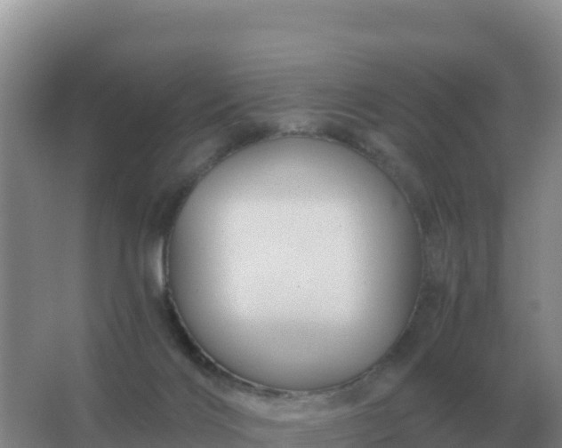 X0000067510028200604150145