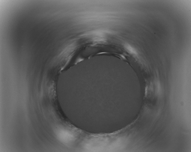 X0000067510029200604150145