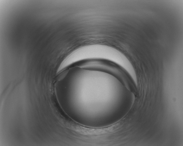 X0000067510031200604150145