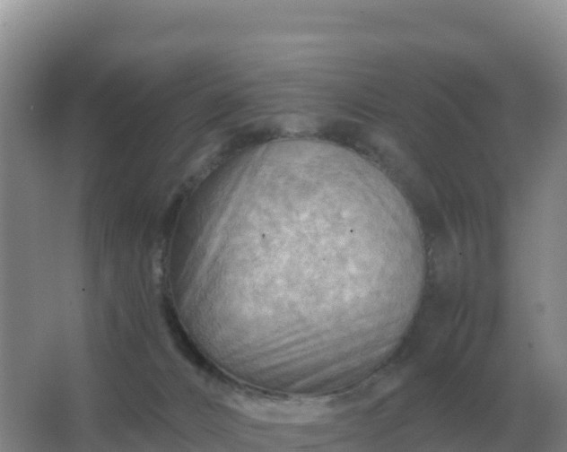 X0000067510032200604150145