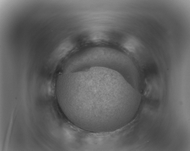 X0000067510033200604150145