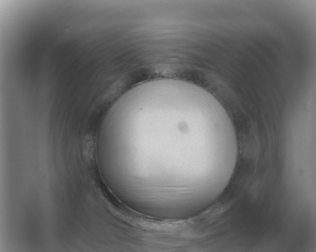 X0000067510036200604150145