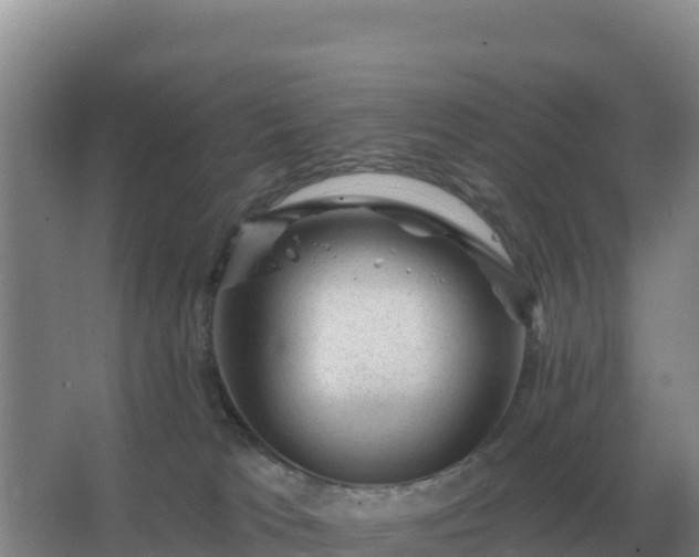 X0000067510037200604150145