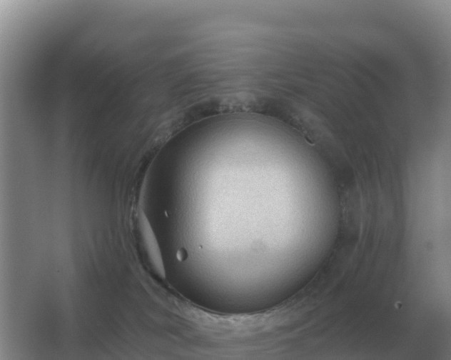 X0000067510038200604150145