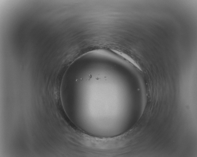 X0000067510039200604150145