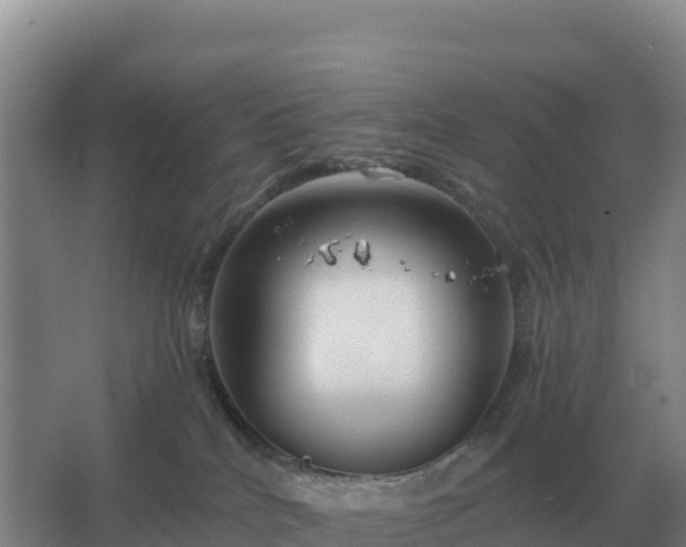 X0000067510040200604150145