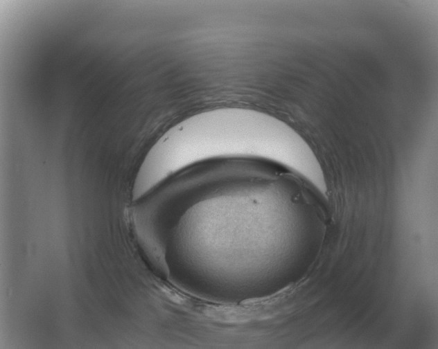 X0000067510041200604150145