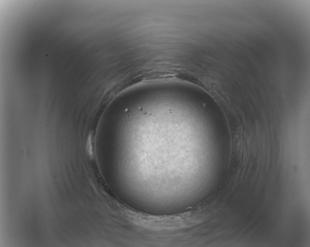 X0000067510042200604150145