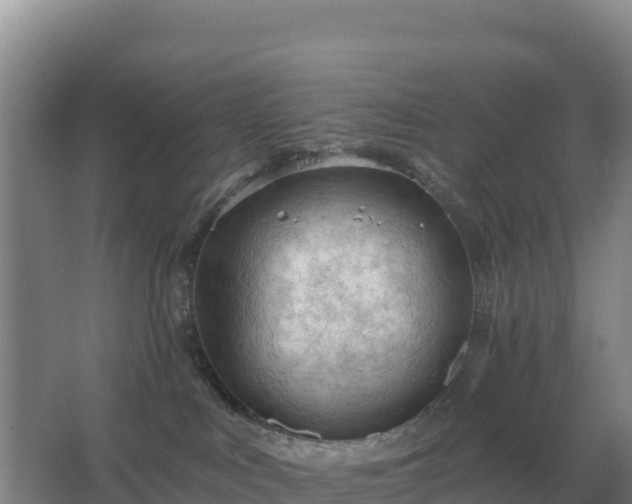 X0000067510043200604150145