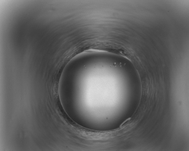 X0000067510044200604150144