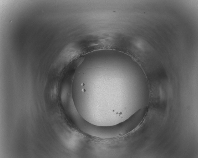 X0000067510045200604150144