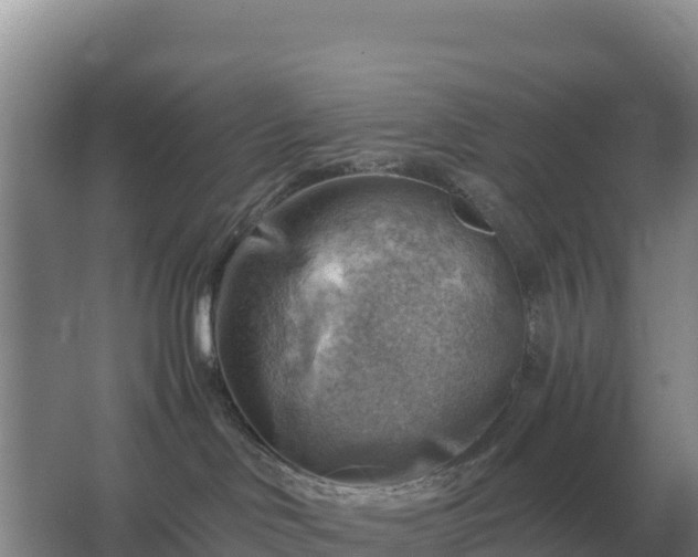 X0000067510046200604150144