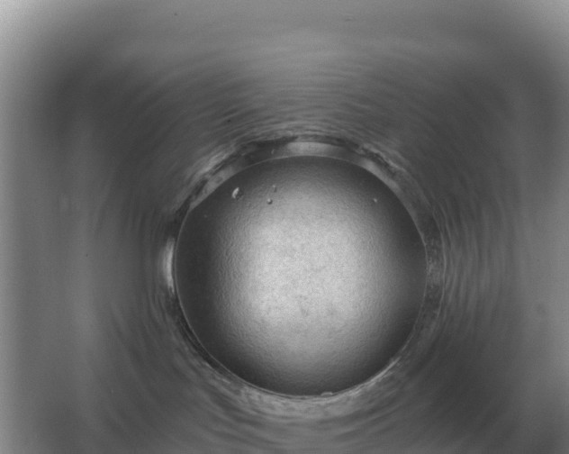 X0000067510047200604150144