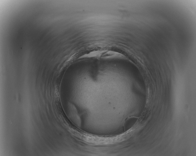 X0000067510048200604150144