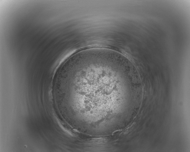 X0000067510050200604150144