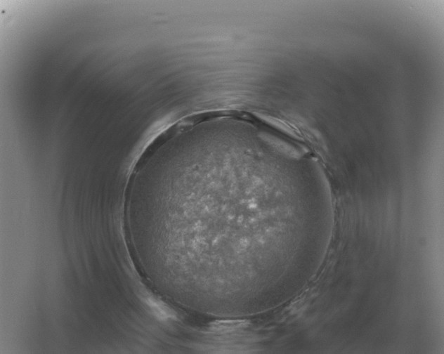 X0000067510051200604150144