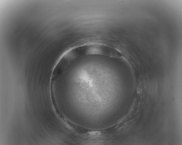 X0000067510052200604150144